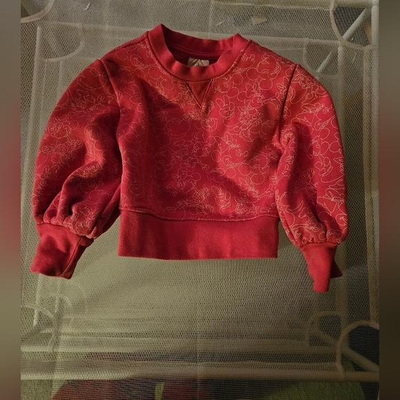 Disney Other - Disney Minnie and Micky Mouse Sweatshirt Size Kids 4